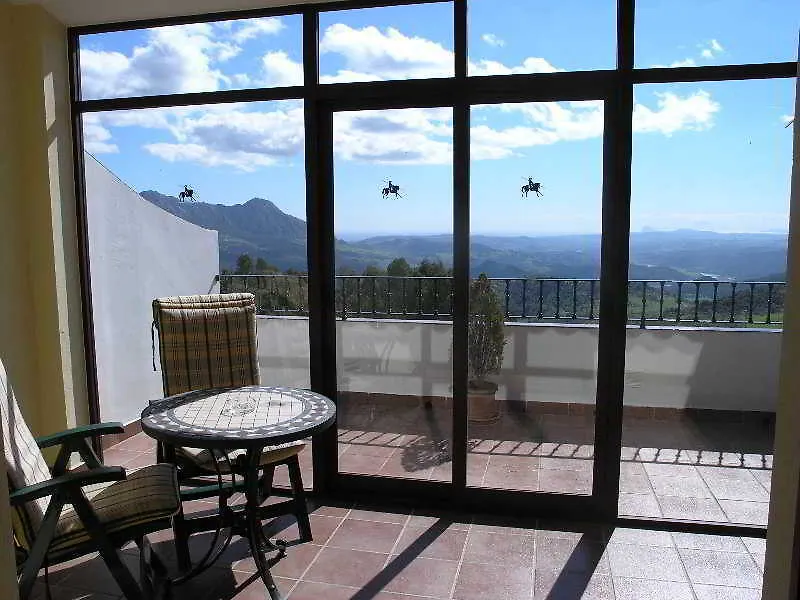 Gaucín Caballo Andaluz
