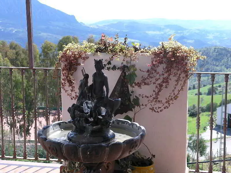 Caballo Andaluz Gaucin Spain