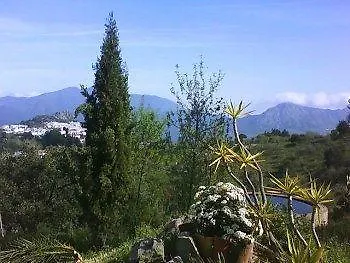 Caballo Andaluz Gaucin