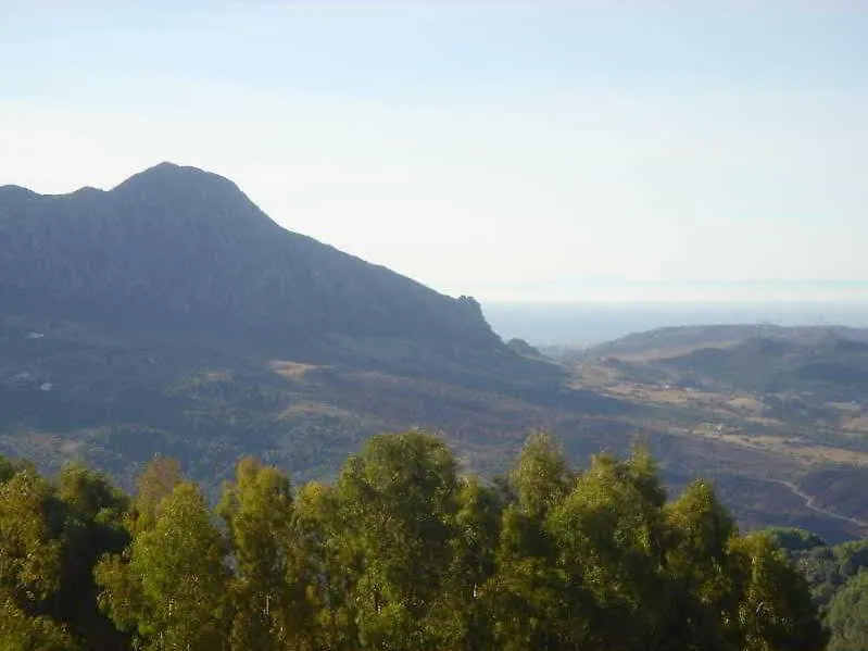 Gaucín Caballo Andaluz ספרד